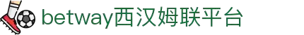 中国·必威(bw·西汉姆联)有限公司-Official website