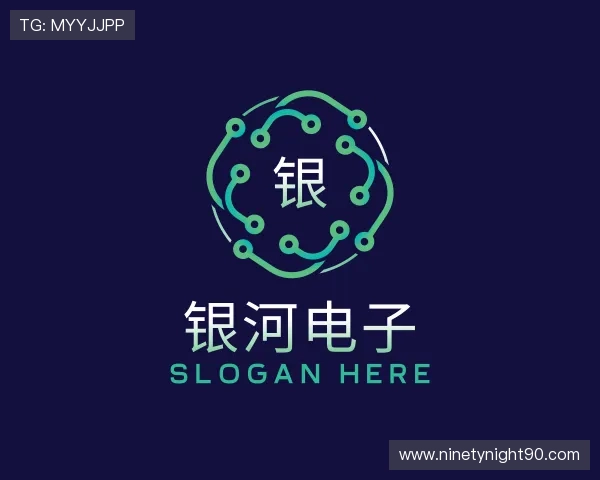 认识银河电子集团
